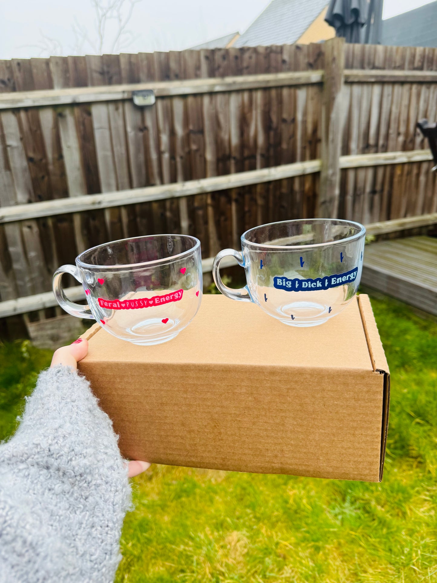 Feral pussy energy Mug