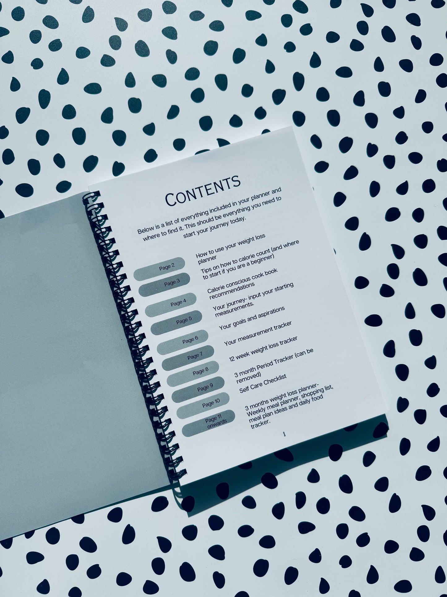 Grey 12 week weight loss journal