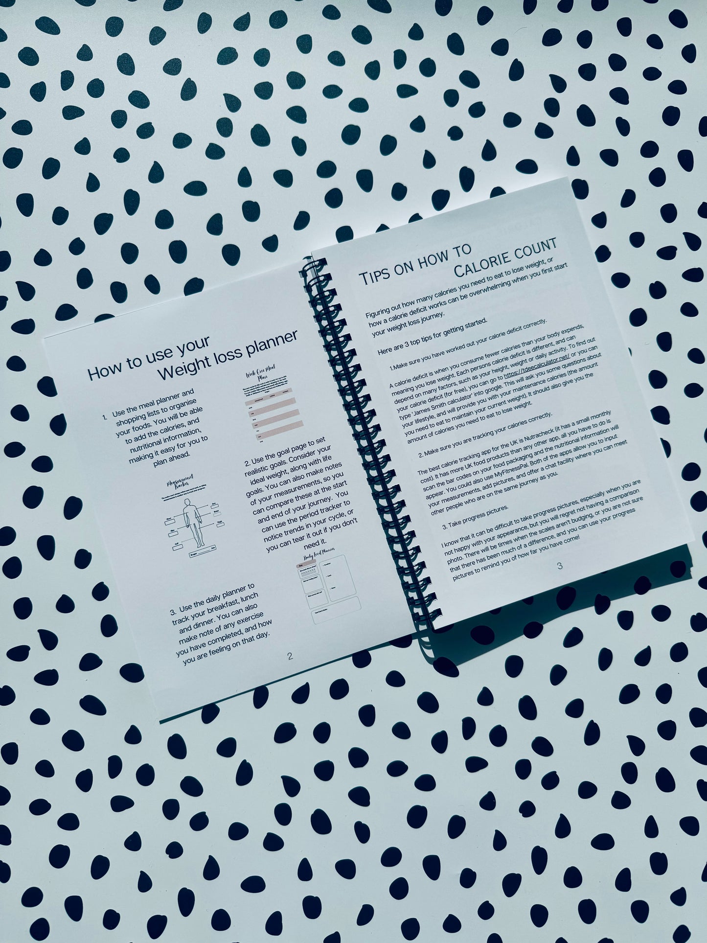 Grey 12 week weight loss journal