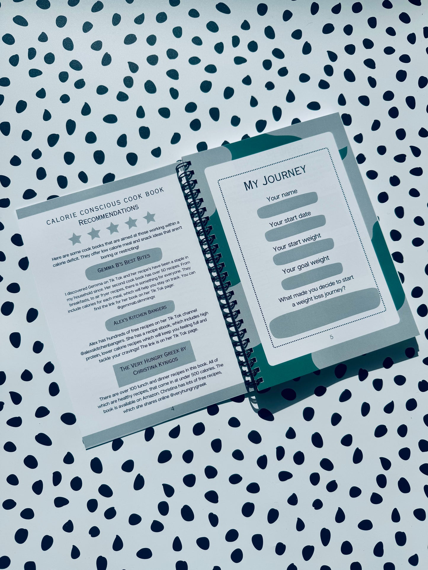 Grey 12 week weight loss journal