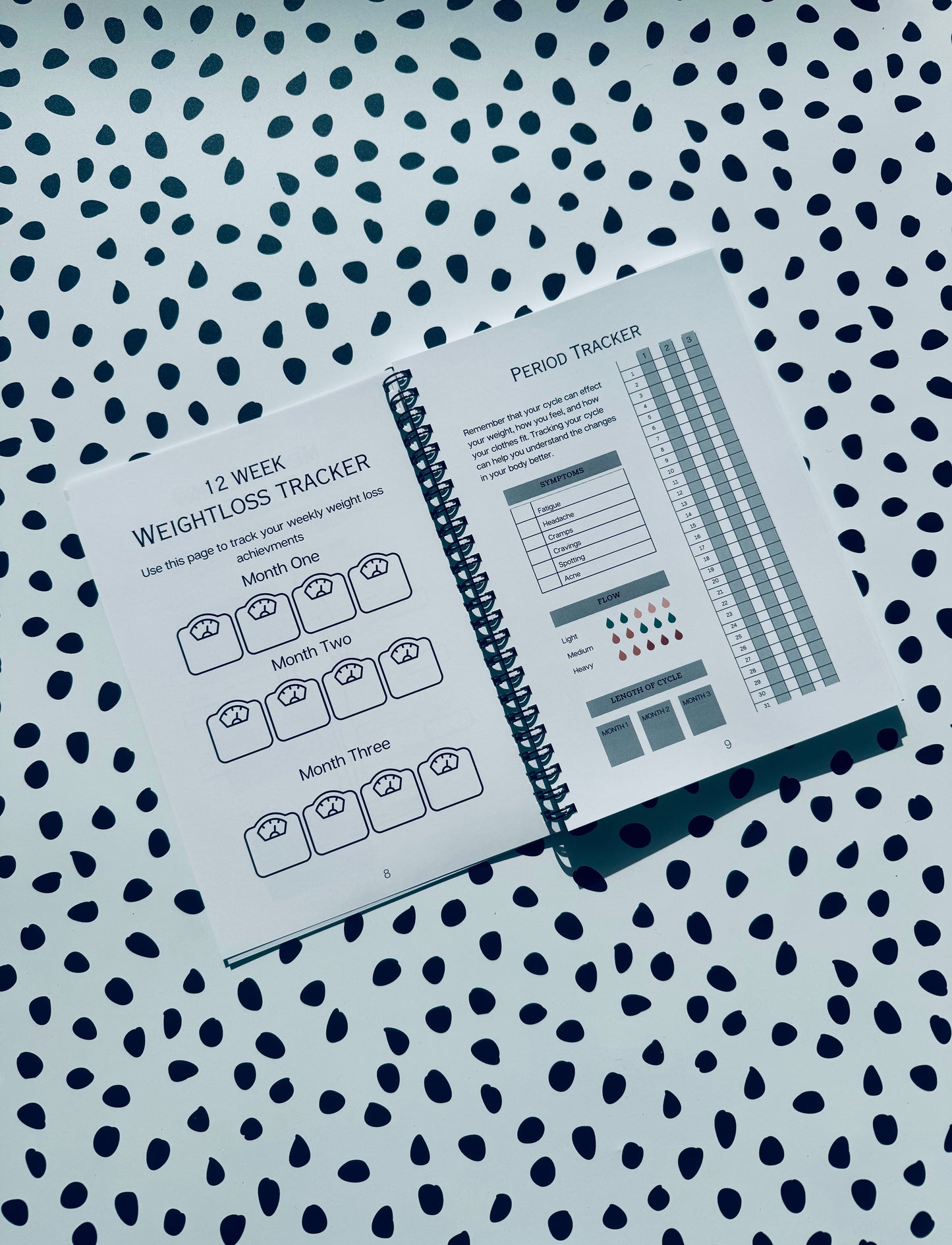 Grey 12 week weight loss journal