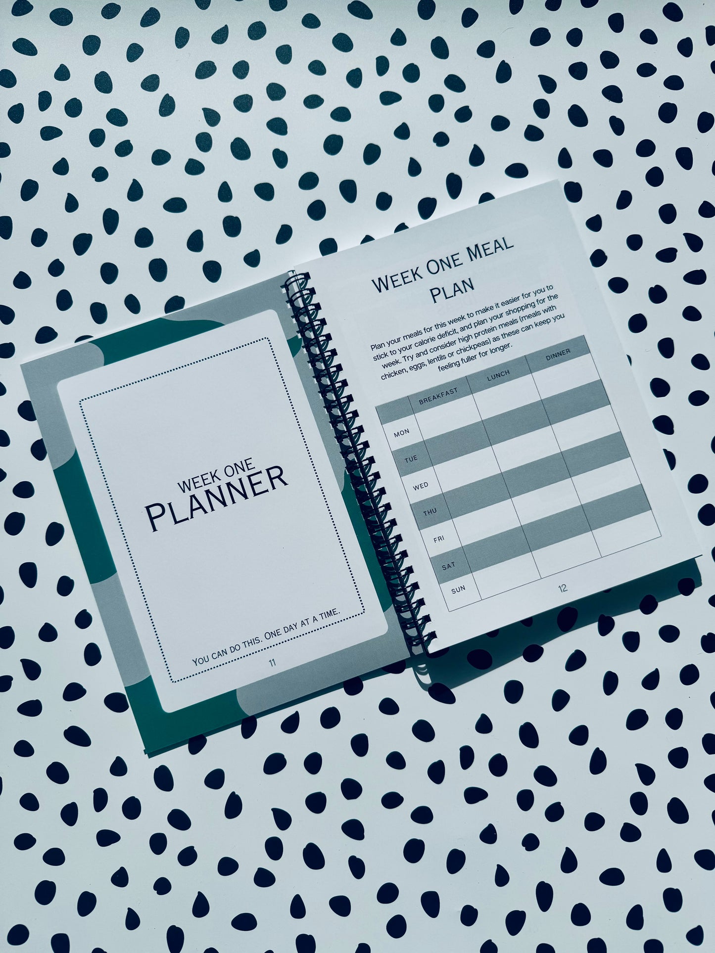Grey 12 week weight loss journal