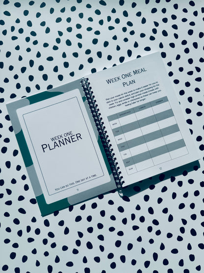 Grey 12 week weight loss journal