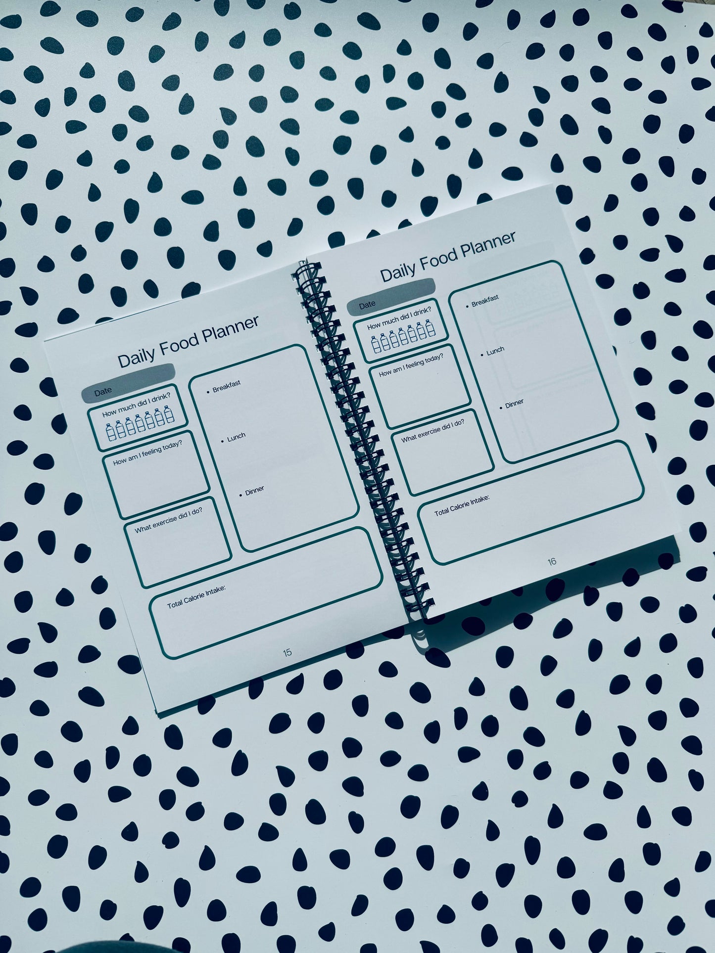 Grey 12 week weight loss journal
